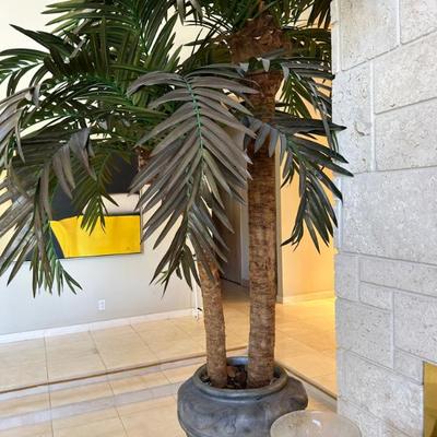 large palm tree