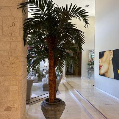 Large silk tree