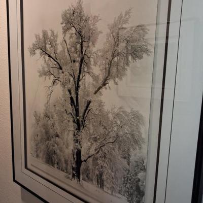 Sale Photo Thumbnail #17