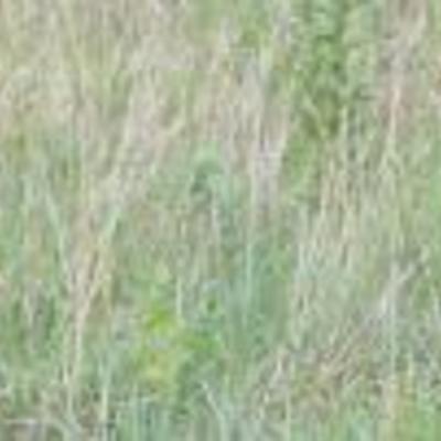 Sale Photo Thumbnail #270