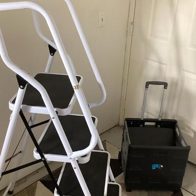 Step Ladder And Rolling Tote With Handle