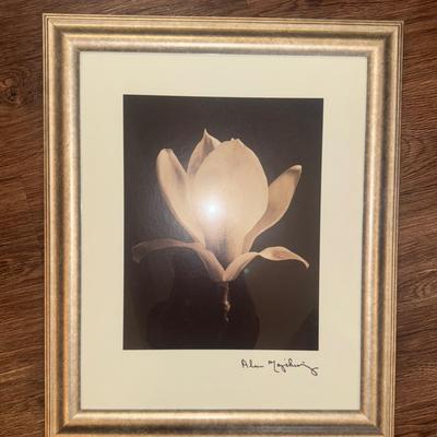 Signed Flower Framed Art 