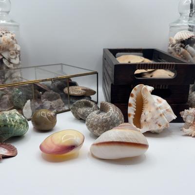 BE391 Oceans Treasures 