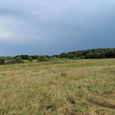 Sale Photo Thumbnail #47