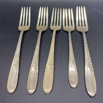 Sterling Forks 4