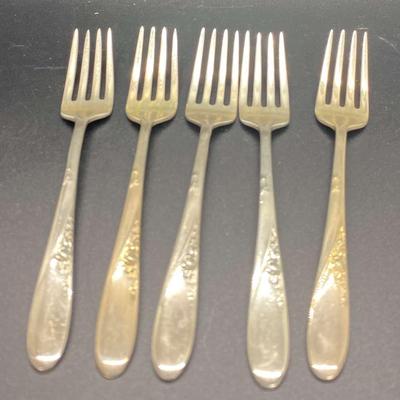 Sterling Forks 5 
