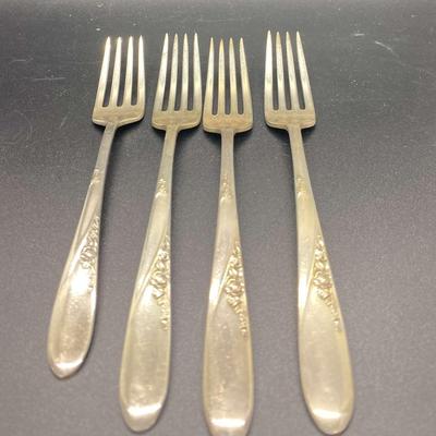 Sterling Forks 6 