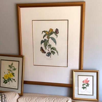 3 Botanical Prints, #2