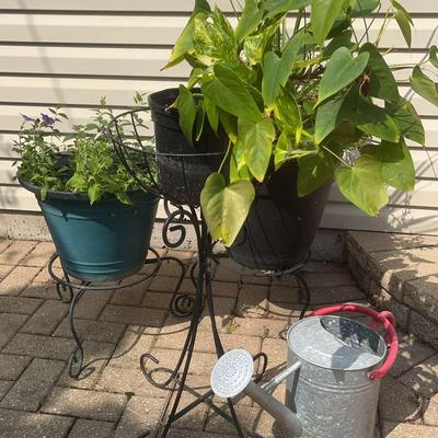 Plastic Planters With Plants, Wire Plant Stand, Watering Can