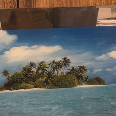 Tropical Island Scene Lighted Sign With Sound