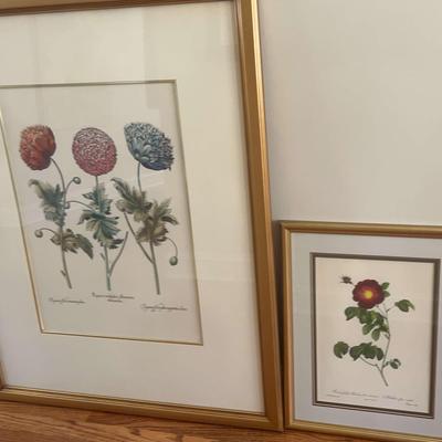 2 Botanical Prints, #1