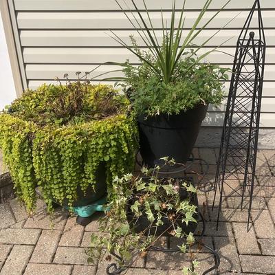 Plastic Planters With Plants, Stands And Wire Sculpture 