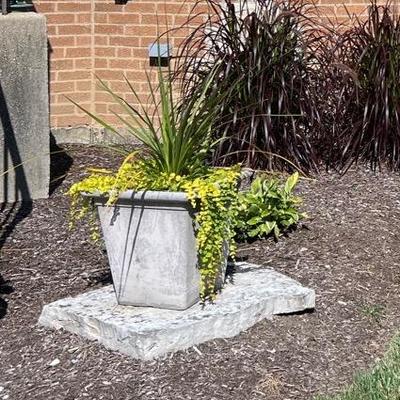 2 Matching Plastic Planters With Plants