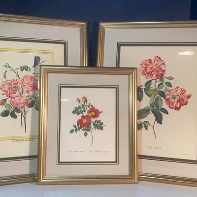 3 Framed Red Flower Prints