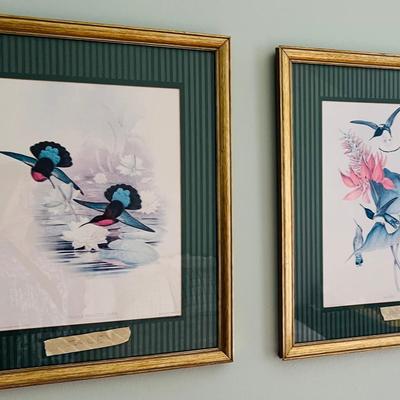 2 Framed Bird Art Prints 