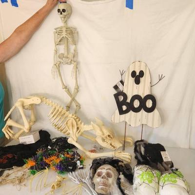 18pc Halloween Decor - Plastic Skeletons, Spider Lights, Hanging Phantom