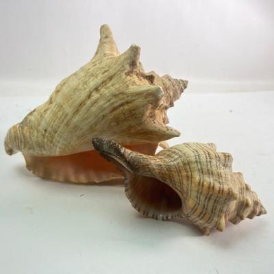 Sale Photo Thumbnail #213