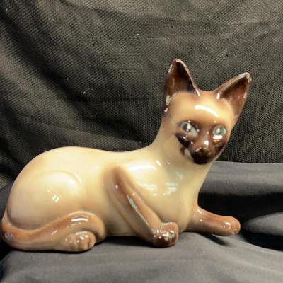 BE654 Siamese Cat