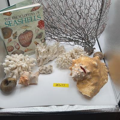 BE677 Under The Sea!!! 