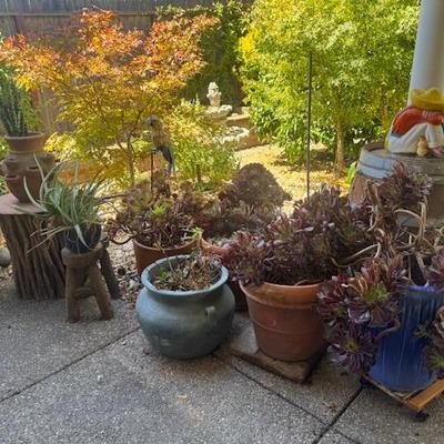 Sale Photo Thumbnail #145