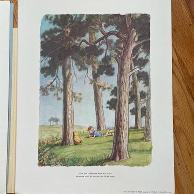 Sale Photo Thumbnail #198