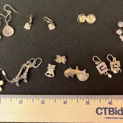 Subtle Fun Earrings 