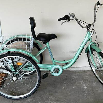 Mooncool Tricycle With Accessories 
