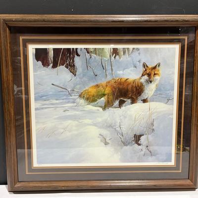 Too Close For Comfort - Red Fox By Mario Fernandez Signed and Numbered Framed Print