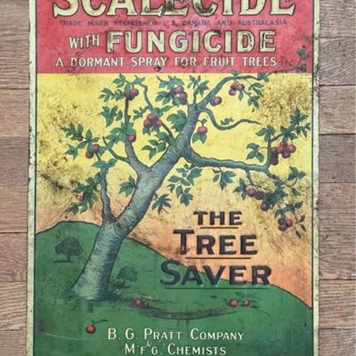 Sale Photo Thumbnail #72