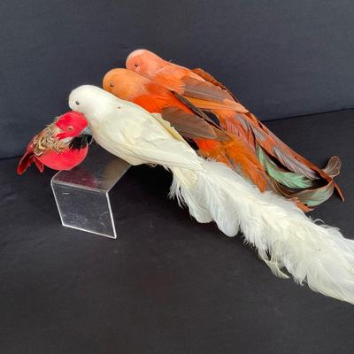 Feathered Friends 