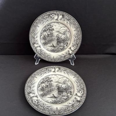 Royal Stafford Hayride Black Plates