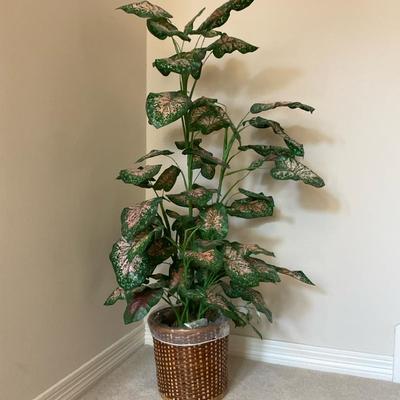Faux Dumb Cane Floor Plant 