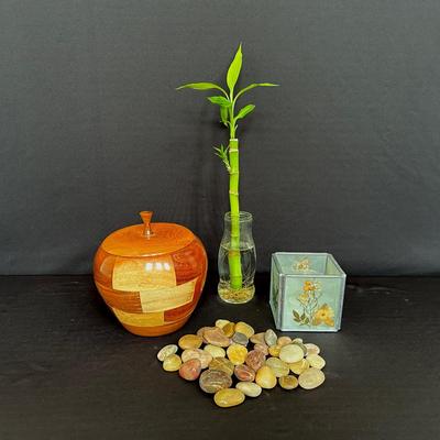Natural Beauty- Bamboo Plant & Polished Stones