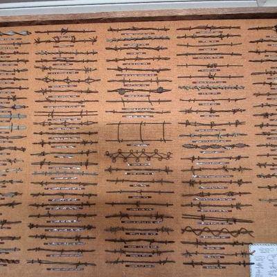 Rustic Antique Framed Barbed Wire Display - All Marked By Type - 115 