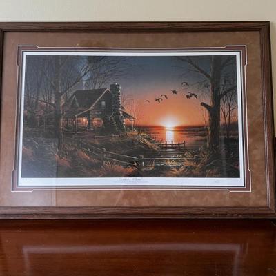 Multiple Nature  prints and watercolors
