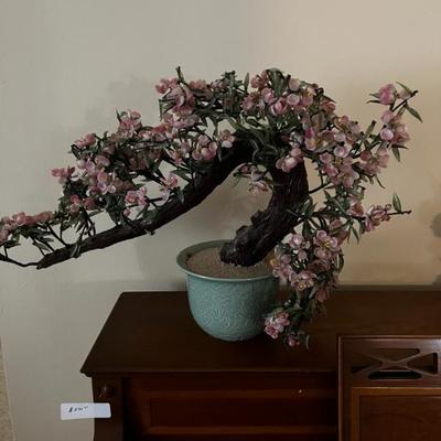 Japanese Bonsai Tree