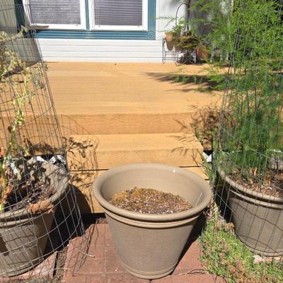 Large Plastic Flower Pots And Plants