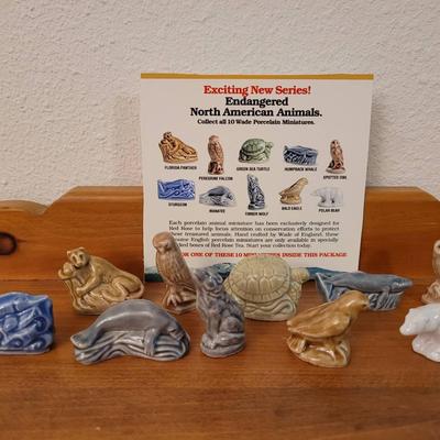 Wade Endangered Animals 