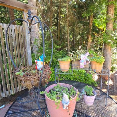 Little Flowers, Flower Pots And Stands
