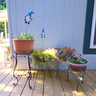 Flowers, Flower Pots And Stands