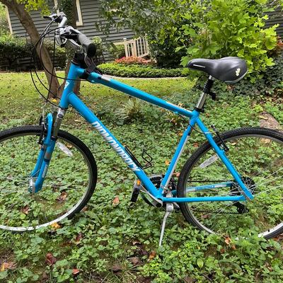 Edgewood Diamondback Mountain Bike 