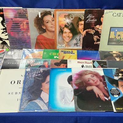 Assorted Vinyl Records (MSP118)