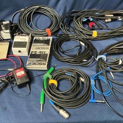 Vocal And Foot Control Pedals With Instrument Cables 