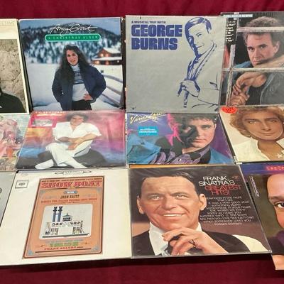 Assorted Vinyl Records (MSP109)