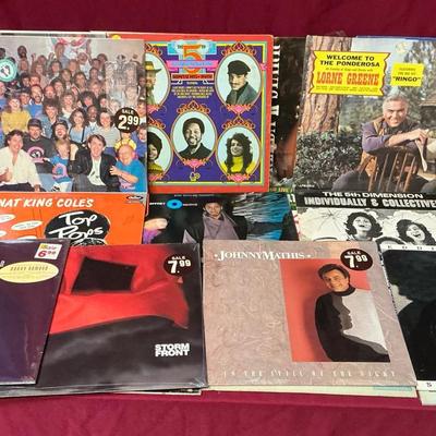 Assorted Vinyl Records (MSP103)