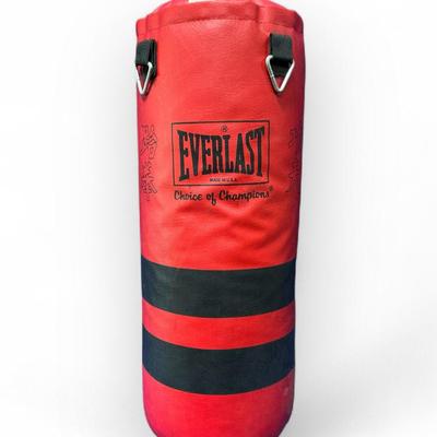 Everlast Punching Bag (30 Inch)