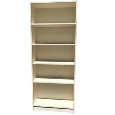 Tall White Bookcase