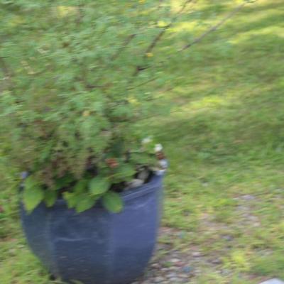 Sale Photo Thumbnail #106