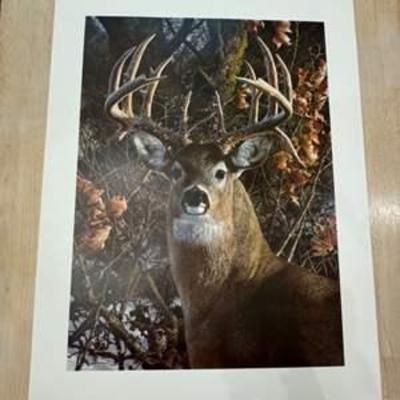 Sale Photo Thumbnail #189
