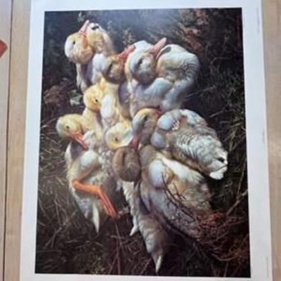 Sale Photo Thumbnail #181